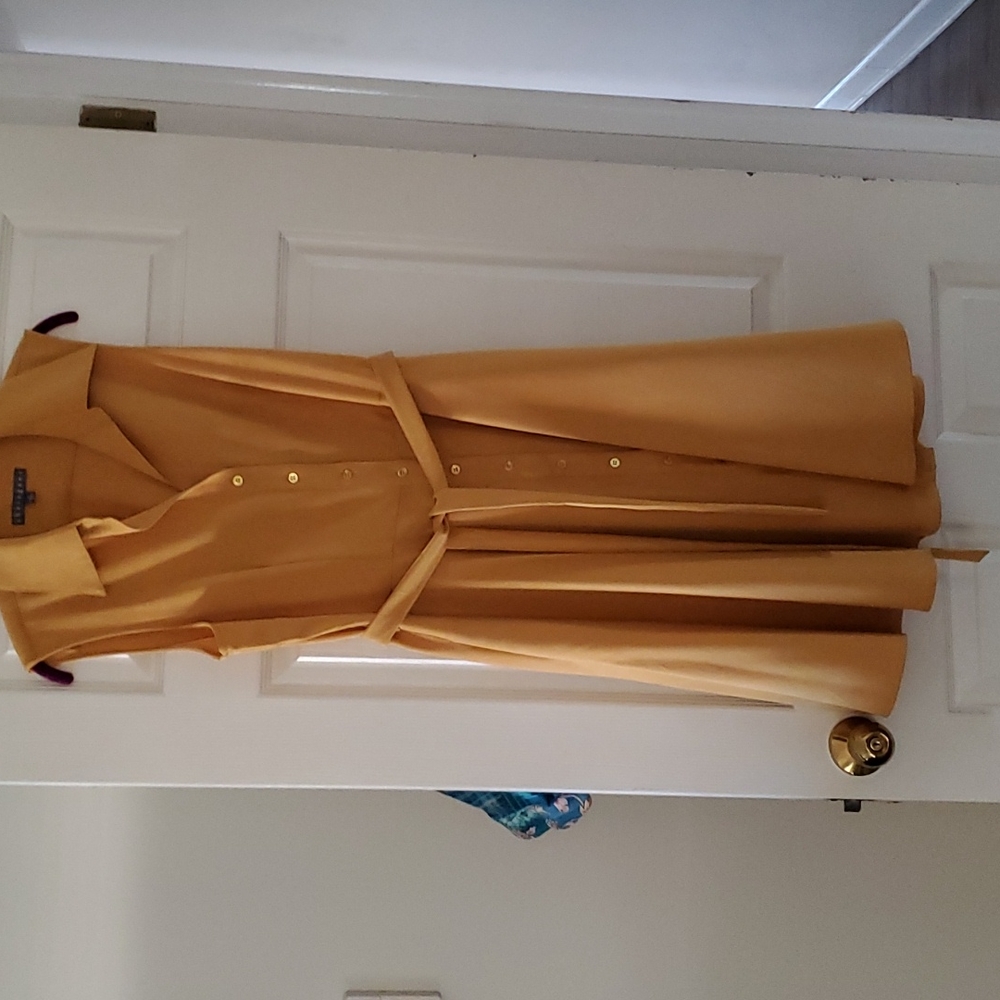 Mustard Yellow a-line dress by Sharagano